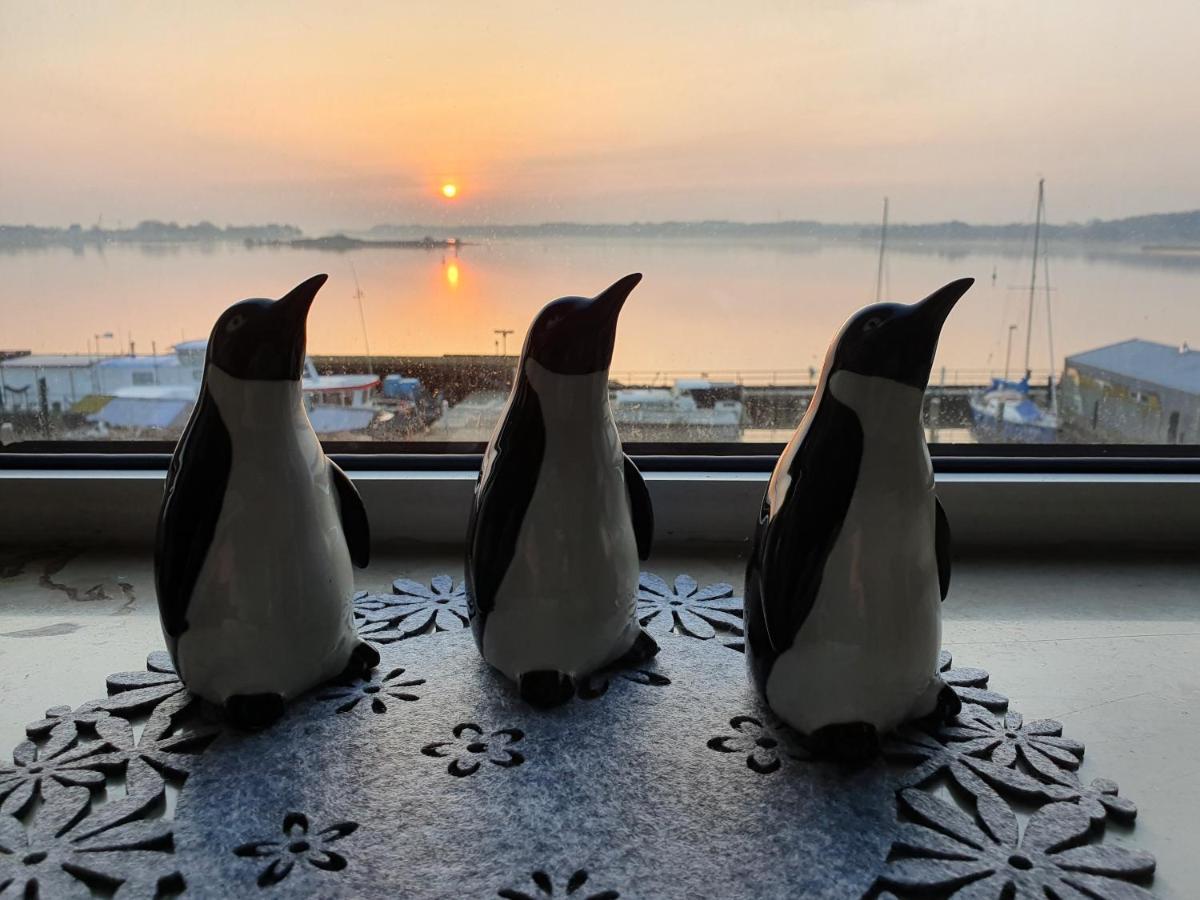 Ferienwohnung Schleiloge Mit Panoramablick Auf Die Schlei シュレースヴィヒ エクステリア 写真